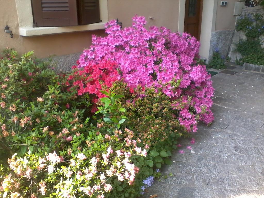 קומו Casa Margherita מראה חיצוני תמונה